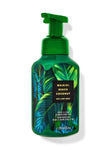 Waikiki beach coconut hand wash