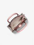 Blush Gabby Small Logo Satchel