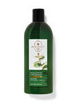 Aromatherapy shampoo eucalyptus + spearmint