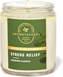 Aromatherap eucalyptus + spearmint single wick candle