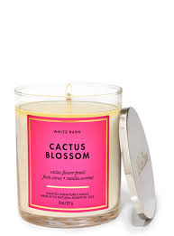 Cactus Blossom single wick candle